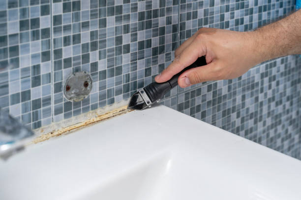 Best Residential Mold Remediation in Norfolk, NE